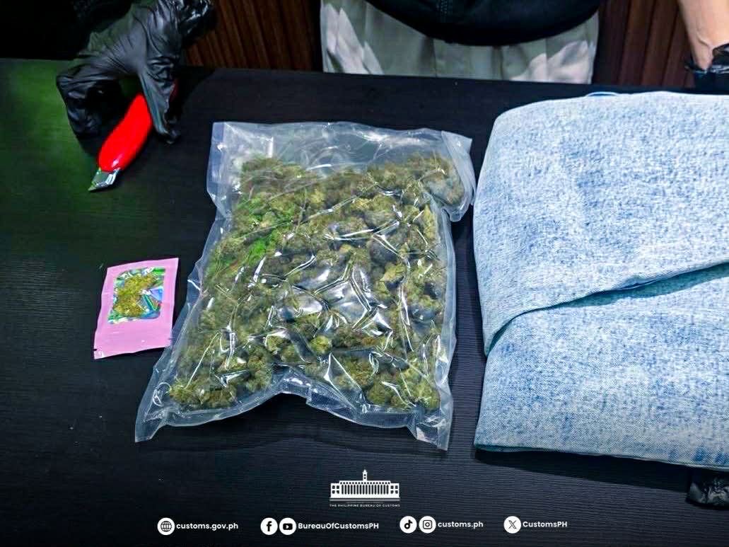 BOC-NAIA SEIZES ₱10.6M WORTH OF MARIJUANA IN SERIES OF PARCEL INTERDICTIONS